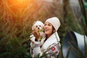 Woman with a white dog in her arms near a green Christmas trees photo