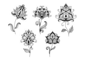 Black and white floral motifs in persian style vector