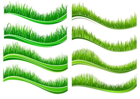 Green colored grass borders