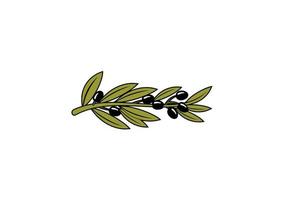 Leafy branch with ripe black olives vector