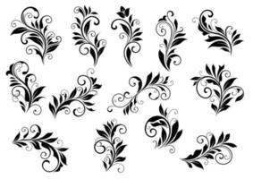 conjunto de motivos florales retro y viñetas foliadas vector