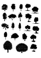 Vector silhouettes of assorted trees