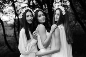 Three charming girls  near a wooden house photo