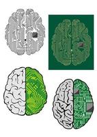 Human brain with computer motherboard vector