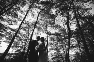 pareja iluminada rayo de sol en un bosque de pinos foto