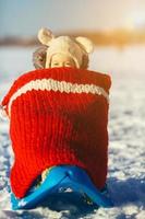 Little girl child sitting on sledges photo