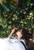 Beautiful woman smelling trees' flowers. Spring time photo