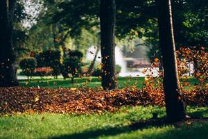 A woman operating a heavy duty leaf blower. photo