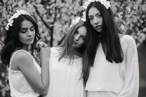 Three charming girls  in a garden photo