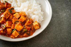 Mapo Tofu - The traditional Sichuan dish of silken tofu and ground beef, packed with mala flavor from chili oil and Sichuan peppercorns. photo