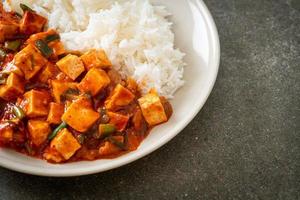 Mapo Tofu - The traditional Sichuan dish of silken tofu and ground beef, packed with mala flavor from chili oil and Sichuan peppercorns. photo