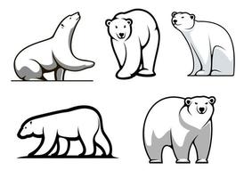 White polar bears set vector