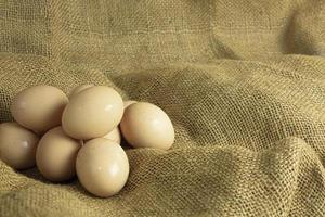 farm fresh chicken eggs on sackcloth background photo