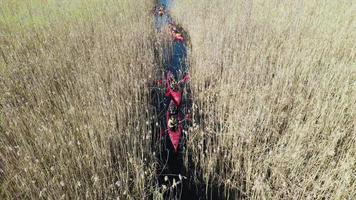 Group of people in kayaks among reeds on the autumn river. photo