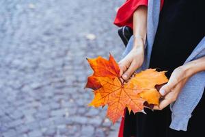 Closeup of girl's hands holding autumn maple tree leaves photo