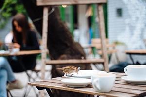 Bird in city. Sparrow sitting on table in outdoor cafe photo
