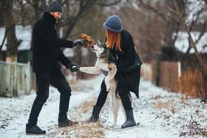 man and woman with dog walking photo