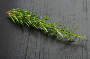 Rosemary plant on wooden background photo