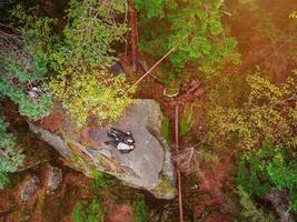 Top down aerial drone image of a forest. photo