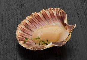 Raw scallops on wooden background photo