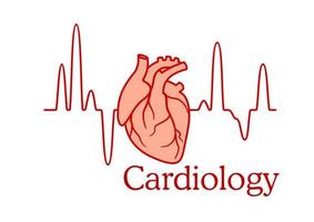 Cardiology concept with an ECG and heart vector