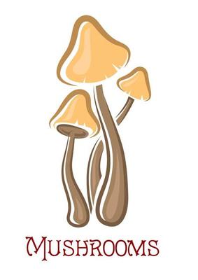 Cartoon forest mushrooms