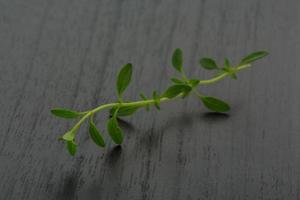 Thyme on wooden background photo