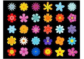 vista superior de coloridas flores florecientes vector