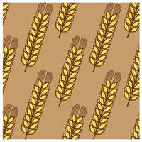 Seamless pattern of wheat ears vector