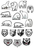 White polar bear cartoon characters vector