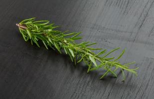 Rosemary plant on wooden background photo