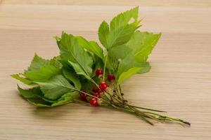 Stone bramble on wooden background photo