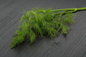 Dill on wooden background photo