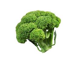 brócoli. vegetal aislado sobre fondo blanco foto