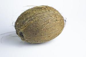 Coconut nut isolated on white background photo