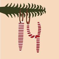 Christmas advent calendar 14. 14 in the form of a candy cane. 14 in the form of a Christmas toy. Vector illustration