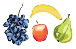 Set with fresh fruits.  Vector illustration.