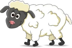 cartoon sheep in white background isolated vector