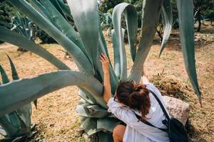 Back view of happy beautiful girl, posing at big aloe vera leaves photo