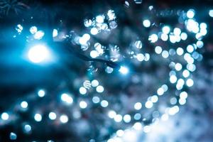 Christmas tree with cones on a city street illuminated with a garland. photo