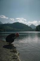 A man washes his hands on the shore of a forest lake photo