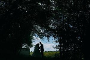 hermosa pareja de novios en la naturaleza foto