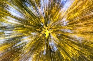 vista abstracta del bosque otoñal foto