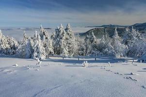 Mountains in Beskydy photo