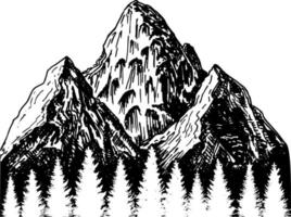 ilustraciones vectoriales dibujadas a mano las montañas con un bosque de coníferas en estilo grabado vector