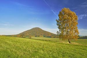 Trees autumn panorama photo