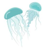 couple of jellyfish vector