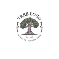 plantilla de diseño de logotipo de ilustración vectorial de árbol vintage, línea dibujada a mano con color digital, ilustración vectorial vector