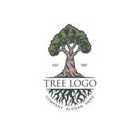 Vintage tree vector illustration logo design template, hand drawn line with digital color, vector illustration