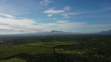 aereo Visualizza di verde fertile terreni agricoli di riso campi. bellissimo paesaggi di agricolo o coltivando le zone nel tropicale Paesi. video